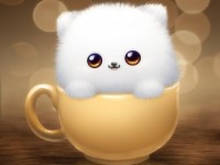 Hướng dẫn vệ sinh áo phủ ghế, đệm ghế đúng cách