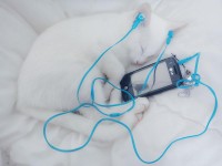 Chụp ảnh thuê cho đám cưới cần lưu ý