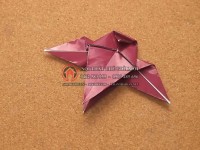 Gấp giấy origami hình chim cú mèo