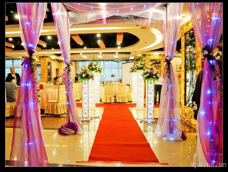 áo ghế tiệc cưới