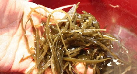 May khăn bàn phòng họp
