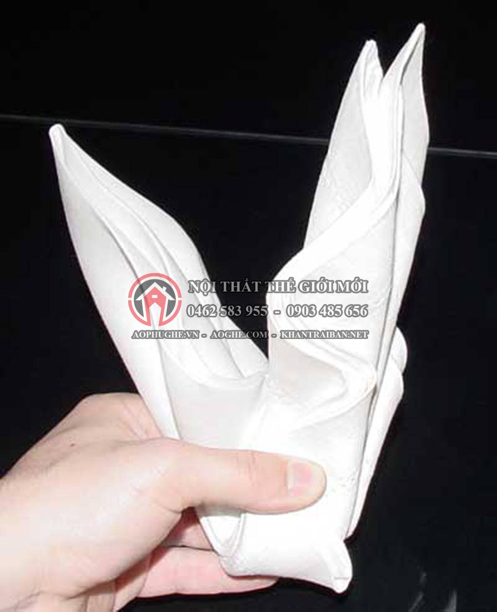 gấp khăn napkin 5
